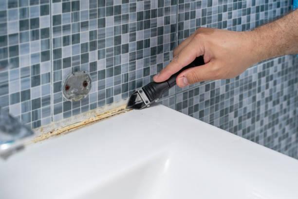 Trusted Lakeview, MI Mold Remediation Experts