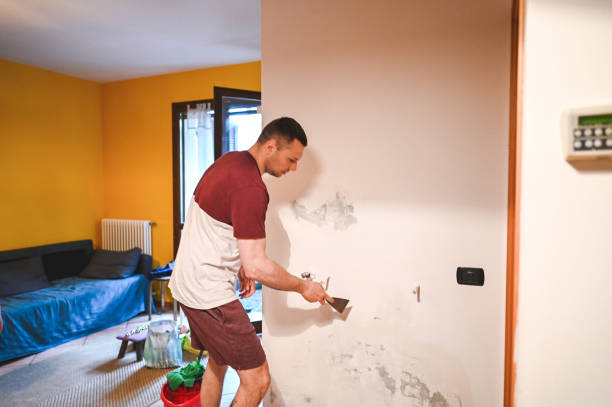 Best Bathroom Mold Remediation in Lakeview, MI